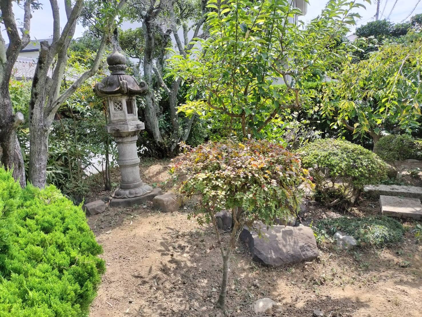 草刈り事例岡山市南区福田