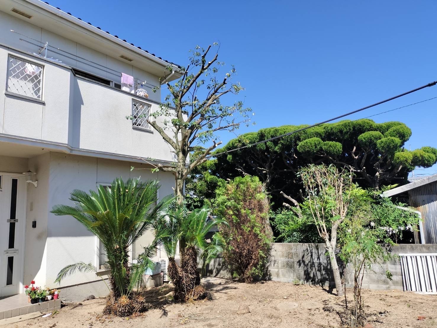 草刈り実例　岡山市北区平野